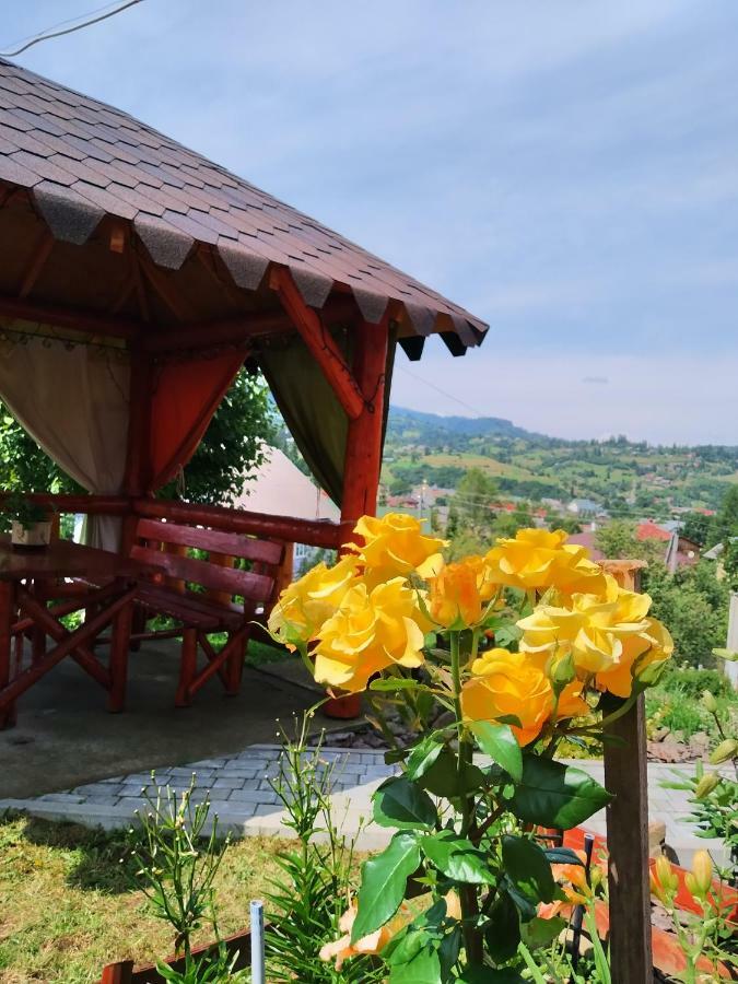 Відпочинок У Пронів Hotel Slavske Exterior photo